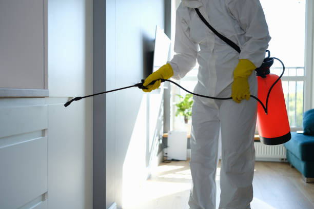 Certified Mold Removal in Lakeview, OH